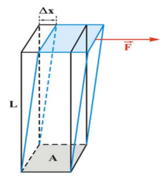 Shear Modulus